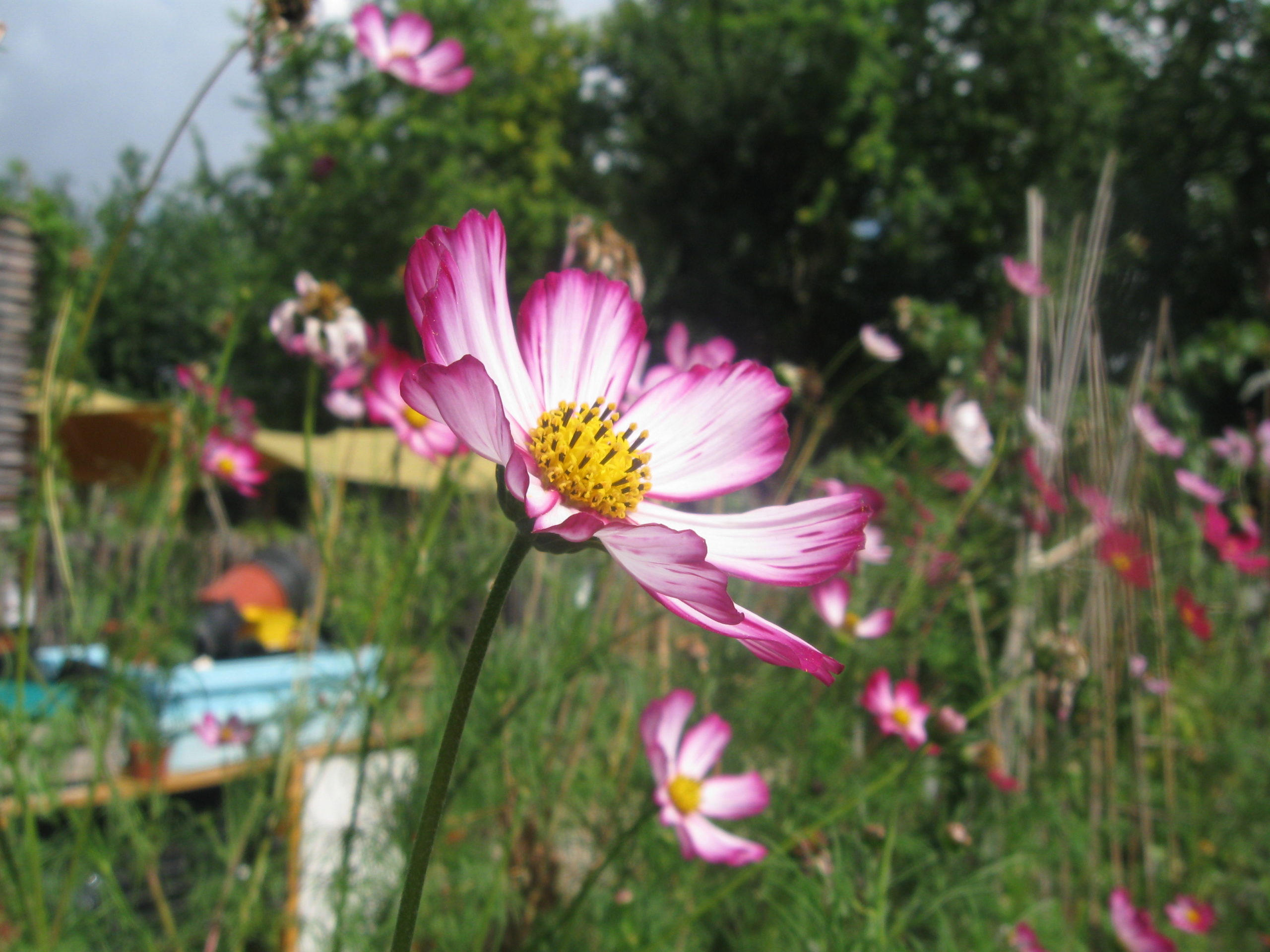 Les Jardins Passagers