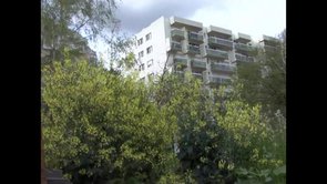 Requiem pour un jardin