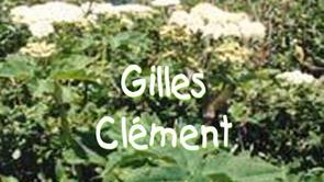 Gilles Clément : la grande berce