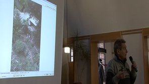 Gilles Clément : plantes vagabondes