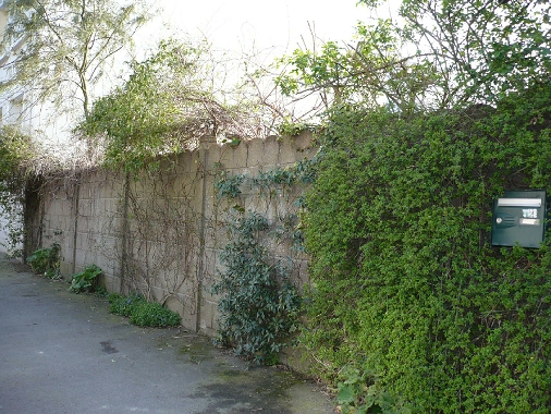 Jardins de trottoirs et trottoirs jardinés