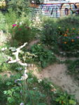 IMG_0311.jpg