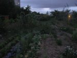 Le champs de la garde