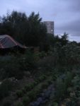 Le champs de la garde