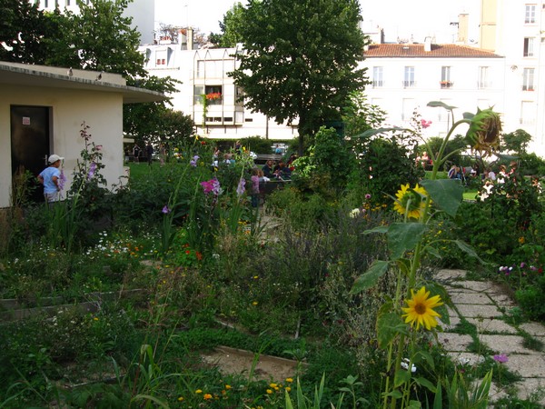 Chanoine Viollet