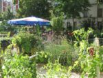 IMG_2699.jpg