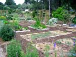 JardinAzeroleWeb.jpg
