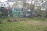 Parcelle4.jpg