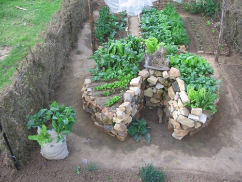 jardinages urbains innovants