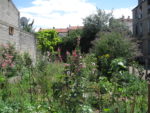 autour_du_chene_-_bagnolet_-_juillet_2011_1_.jpg
