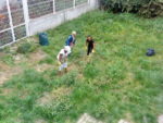dsc00083jpg-10a4.jpg