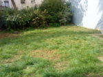 dsc00125jpg-d0f7.jpg
