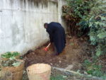 dsc00197jpg-ef69.jpg