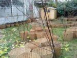 dsc00336jpg-36cc.jpg