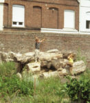 Bois et enfants