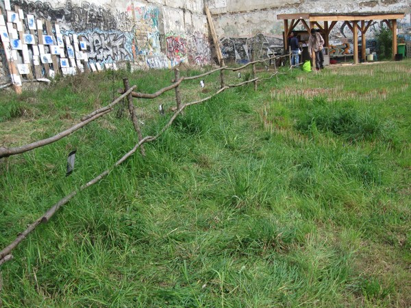 Herbes folles au jardin des Jeunes Pouces