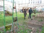 Exposition "Petits jardiniers" de Nathalie Dona