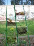 Exposition "Petits jardiniers" de Nathalie Dona