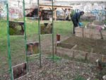 Exposition "Petits jardiniers" de Nathalie Dona