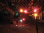img_3311jpg-f2dc.jpg