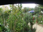 img_3336jpg-2ee8.jpg