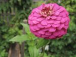 img_3380jpg-3d3e.jpg