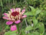 img_3381jpg-1554.jpg
