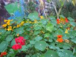 img_3466jpg-5790.jpg