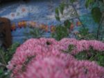 img_3618jpg-7ef1.jpg
