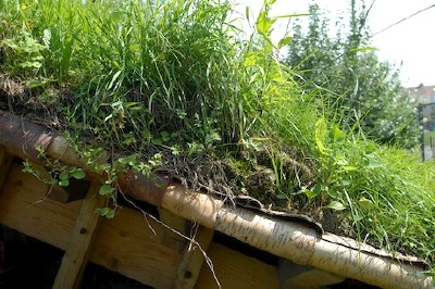 Les « jardins communautaires » lillois