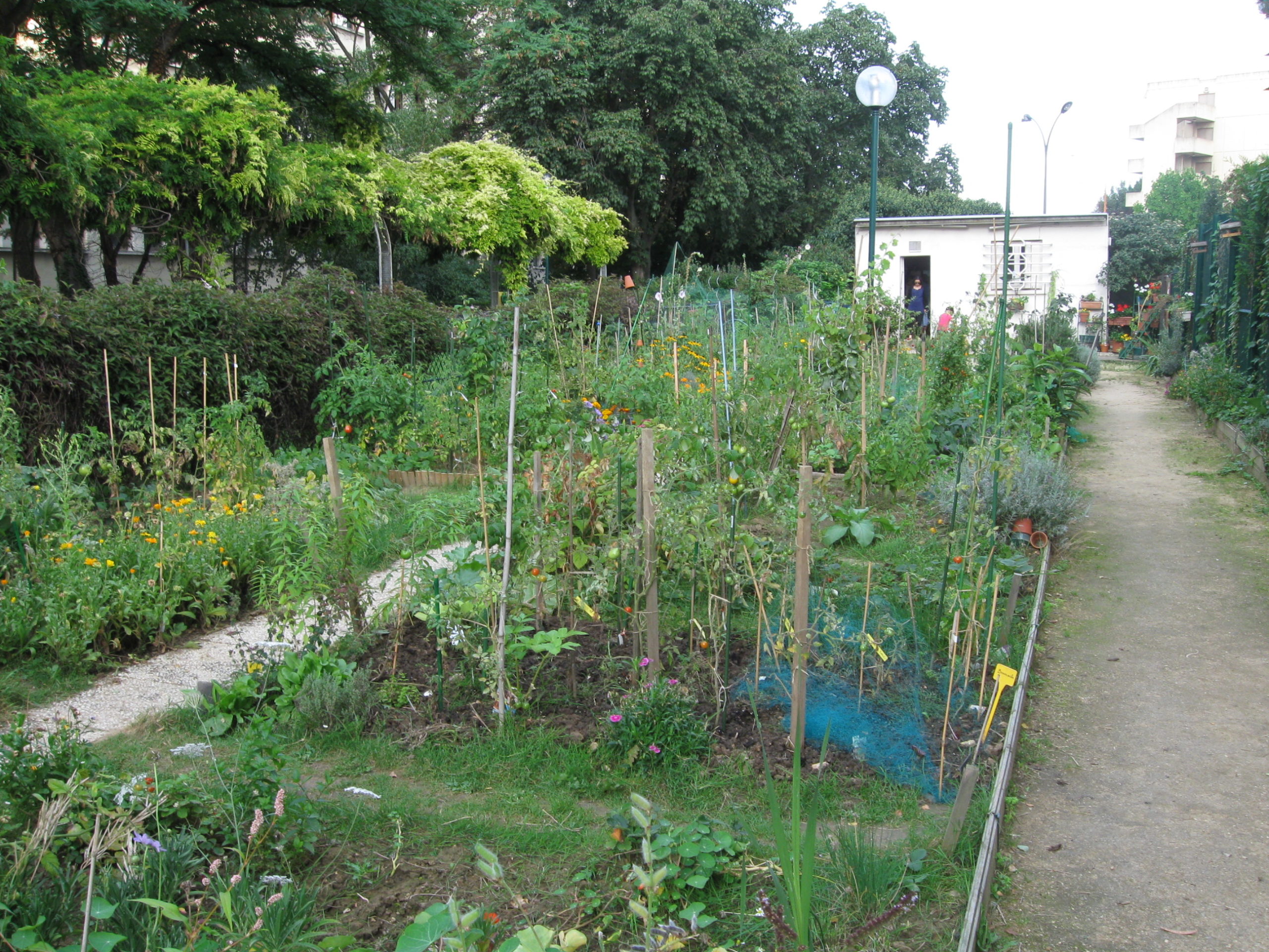 Jardin Auguste Renoir