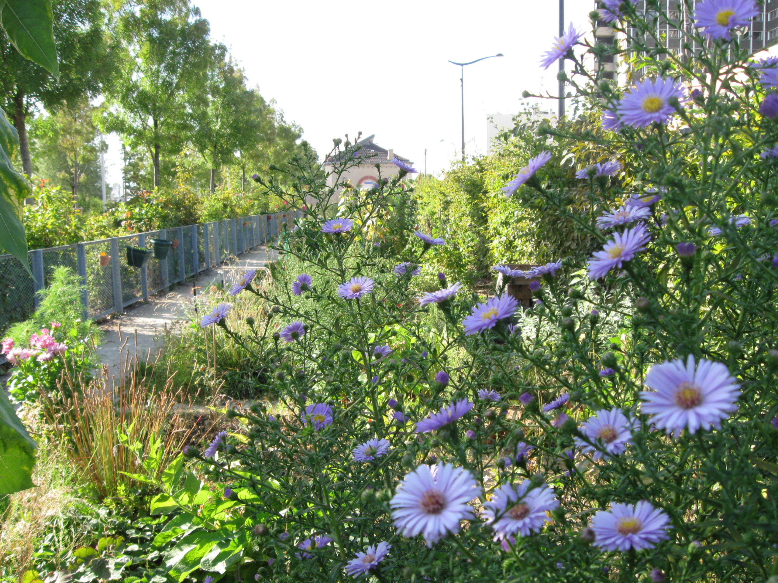 Jardin de Perlimpinpin
