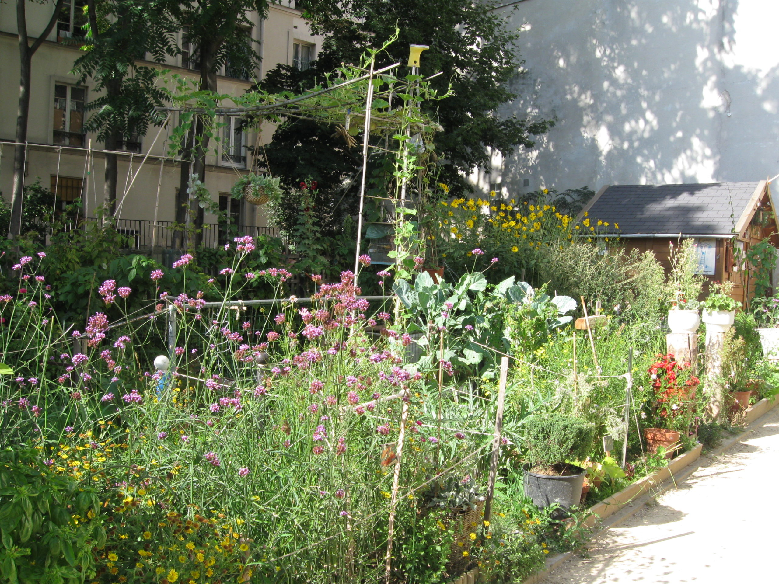 Le jardin partagé des Deux Nèthes