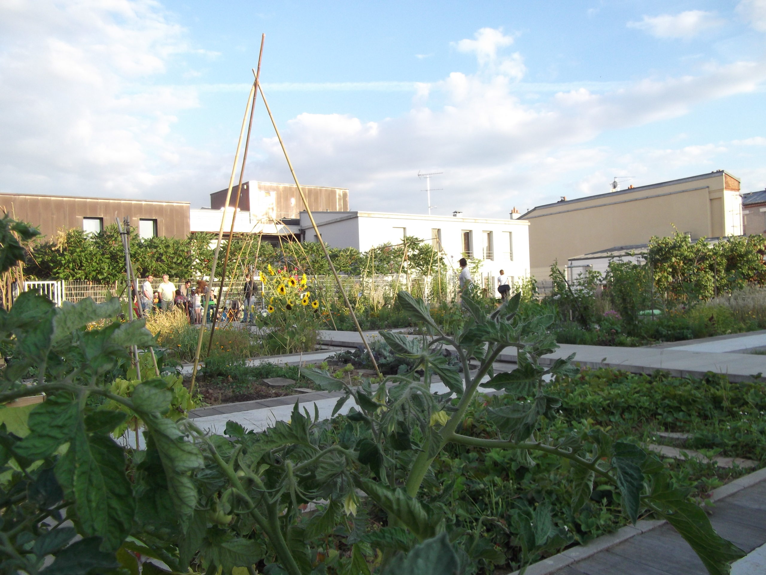 Le jardin sur le Toit