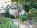 le_lapin_ouvrier_-_septembre_2010.2.jpg