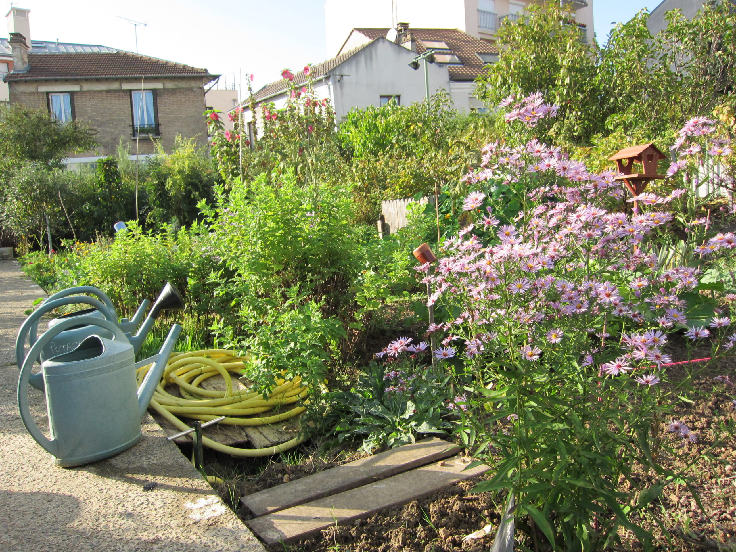 Potager des Lilas