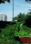 pied_des_tours.jpg