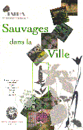 Sauvages dans la ville