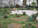 le Poireau agile
