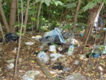 Bois_Dormay_060708_026.jpg