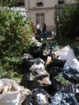 Bois_Dormay_060708_059.jpg