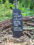 Chaumont_2008_031.jpg