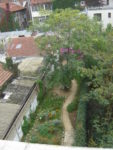 DSC04309.jpg