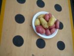 DSCN0519.jpg