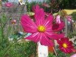 IMG_1256.jpg
