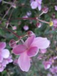 IMG_1754.jpg