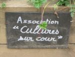 Cultures sur Cour