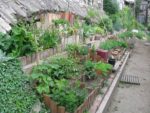 verdure