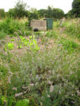 IMG_6484.jpg