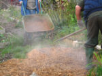 IMG_6634b.jpg